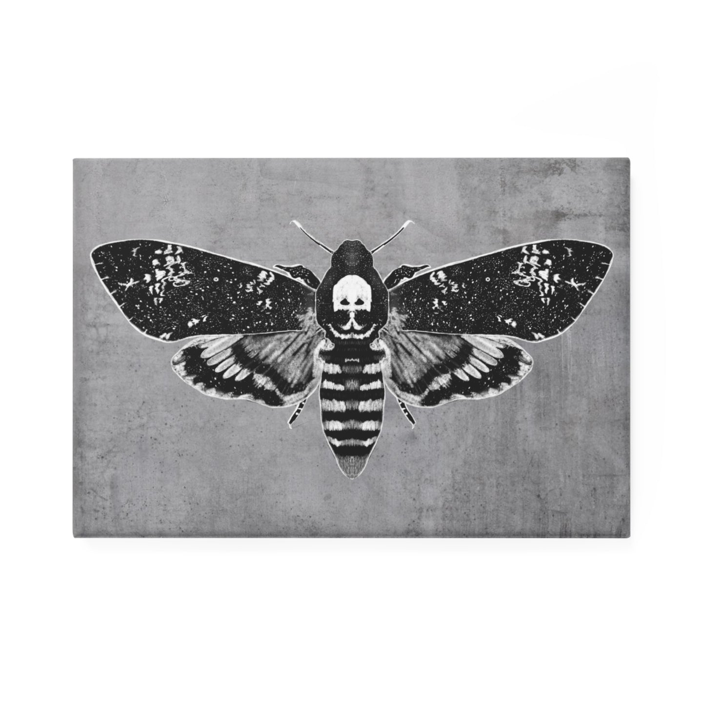 Moth Fridge Magnet