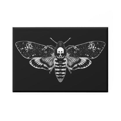 Moth Fridge Magnet