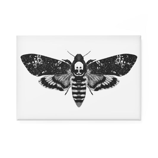 Moth Fridge Magnet