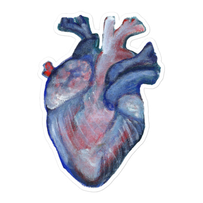 Anatomical Heart Sticker