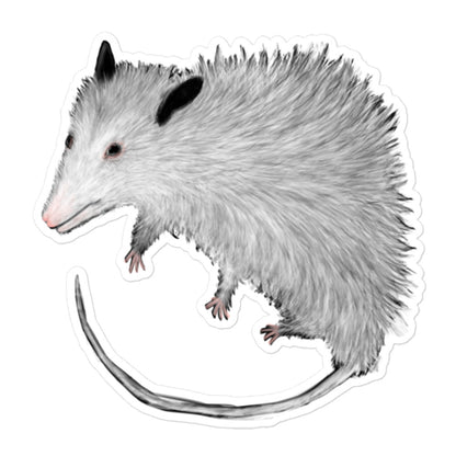 'Possum Sticker