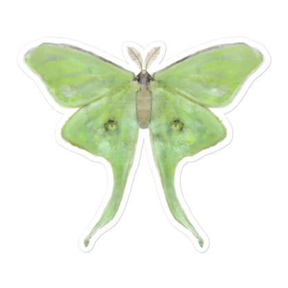 Luna Moth Sticker