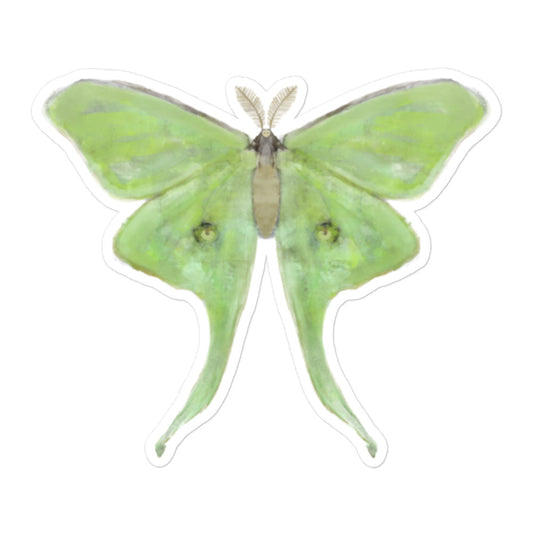 Luna Moth Sticker
